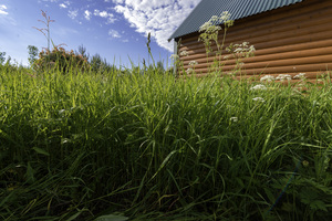 Image-preview_300x200