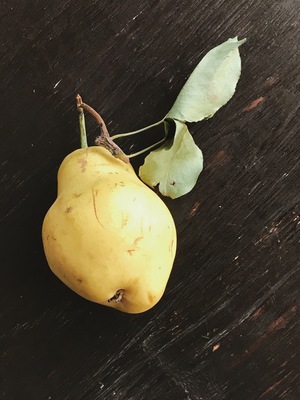 Image-preview_300x200