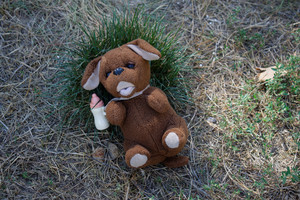 Image-preview_300x200