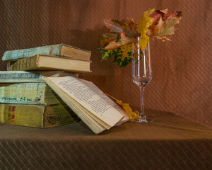 Image-preview_300x200