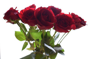 Image-preview_300x200