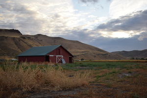 Image-preview_300x200