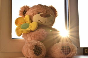 Image-preview_300x200