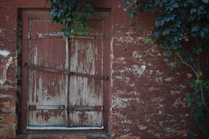 Image-preview_300x200