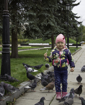 Image-preview_300x200