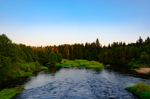 Image-preview_300x200