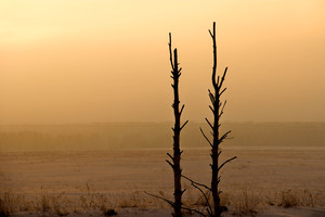 Image-preview_300x200