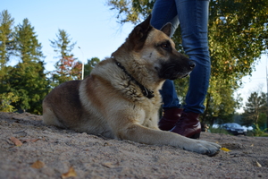 Image-preview_300x200