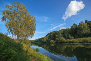 Image-preview_300x200