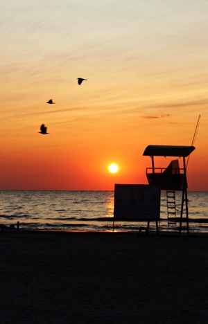 Image-preview_300x200