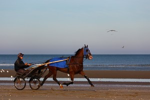 Image-preview_300x200