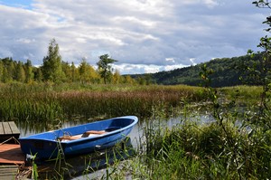 Image-preview_300x200