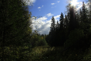 Image-preview_300x200