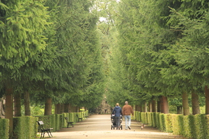 Image-preview_300x200