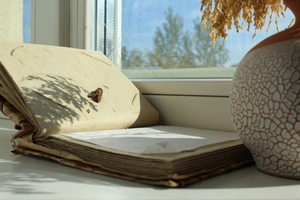 Image-preview_300x200