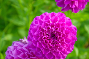 Image-preview_300x200