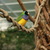 Image-square_50