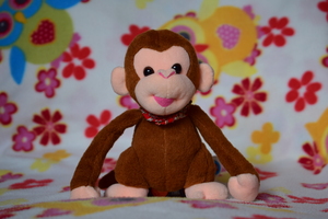 Image-preview_300x200