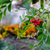 Image-square_50