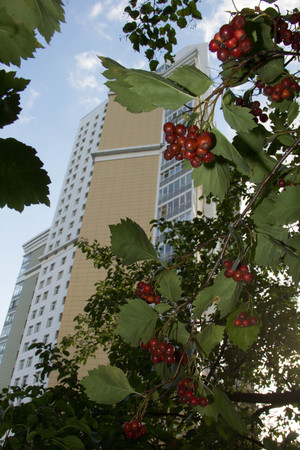 Image-preview_300x200