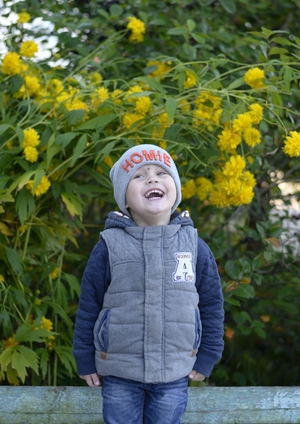 Image-preview_300x200