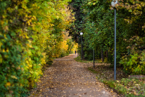 Image-preview_300x200