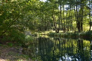 Image-preview_300x200