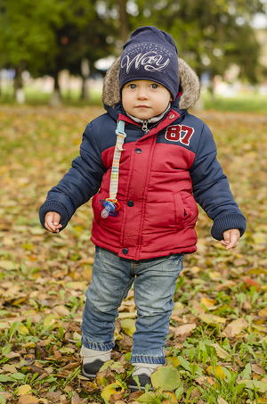 Image-preview_300x200