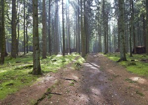 Image-preview_300x200