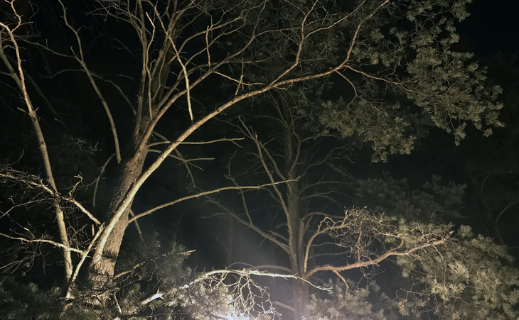 Image-normal