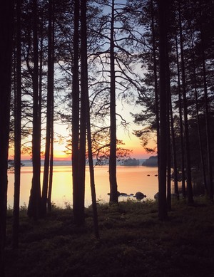 Image-preview_300x200