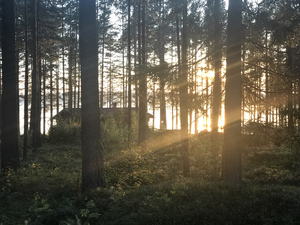 Image-preview_300x200