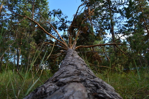 Image-preview_300x200