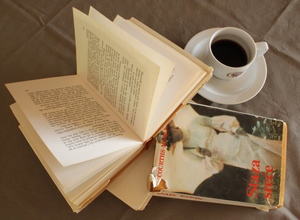 Image-preview_300x200