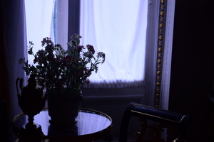 Image-preview_300x200