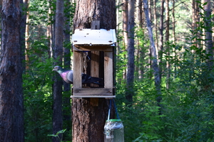 Image-preview_300x200