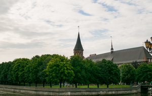 Image-preview_300x200