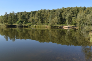 Image-preview_300x200