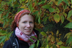 Image-preview_300x200