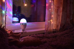 Image-preview_300x200