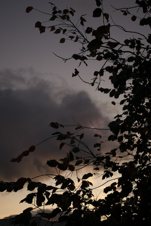 Image-preview_300x200