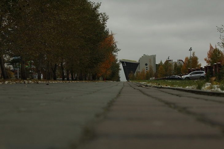 Image-normal