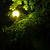 Image-square_50