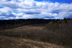 Image-preview_300x200