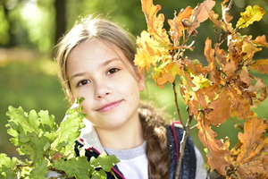 Image-preview_300x200