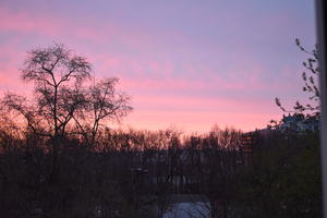 Image-preview_300x200