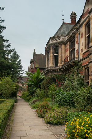 Image-preview_300x200