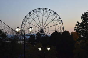 Image-preview_300x200