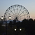 Image-square_50