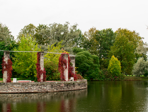 Image-preview_300x200